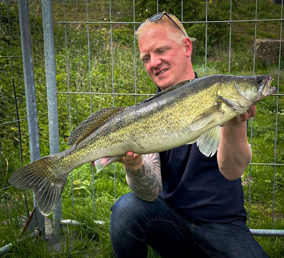 2e6a3c75 e695 465b a782 fc57d4c4c579