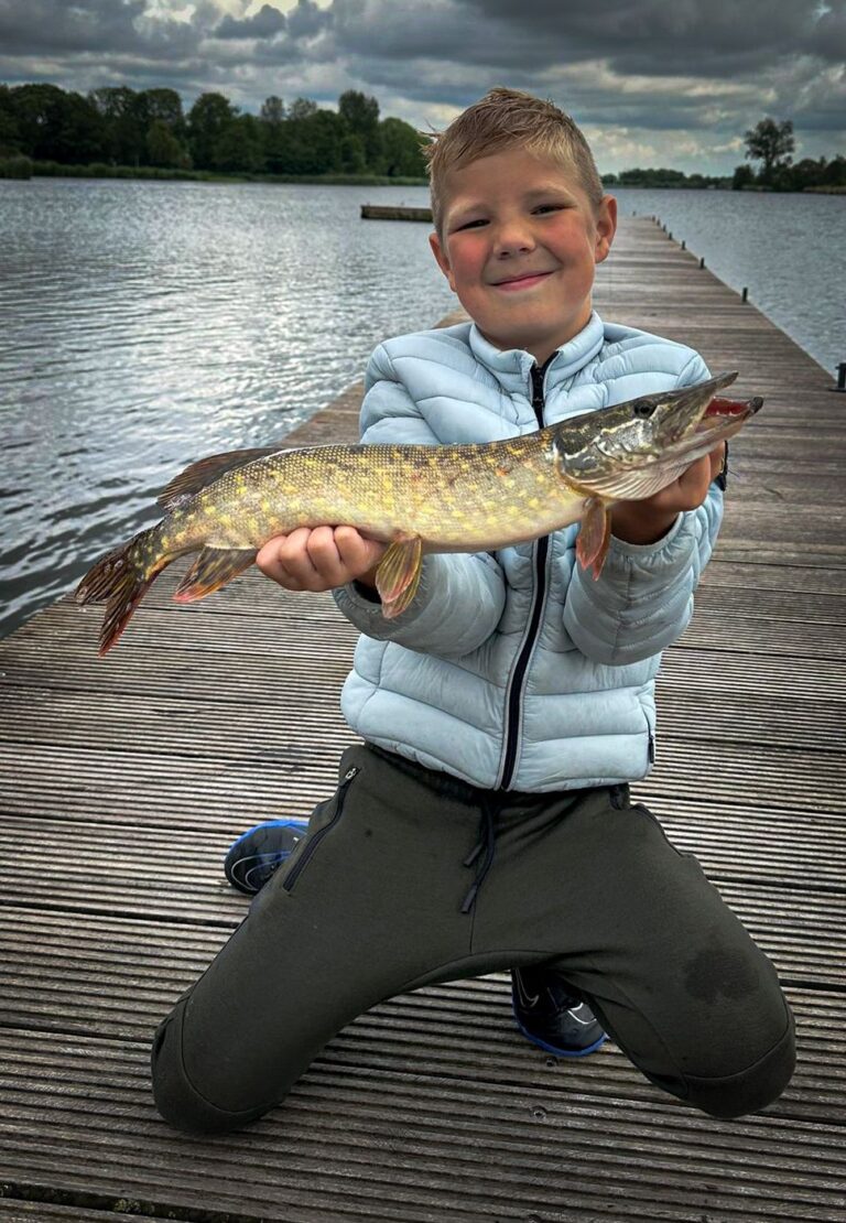 ae264d1a 5eb9 49b7 b4f3 4f08196ce213