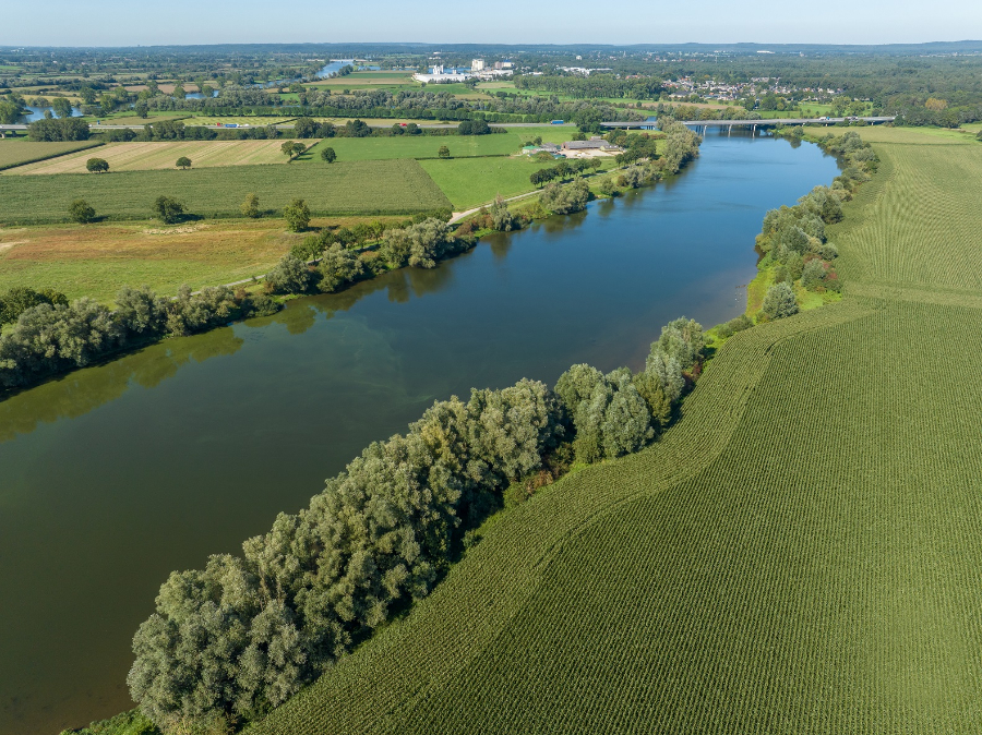 oude maas